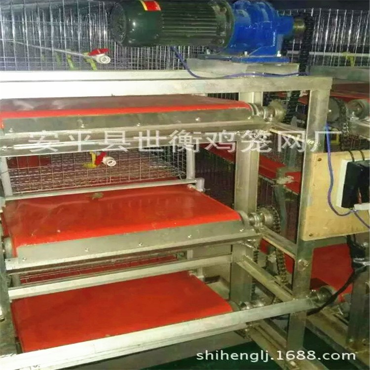 肉雞籠養(yǎng)傳送帶 清糞帶 全自動(dòng)設(shè)備 含安裝 運(yùn)費(fèi)
