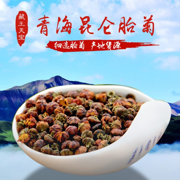 批發(fā)昆侖胎菊 花果茶菊花茶 頭茬采摘天山胎菊香菊 產(chǎn)地貨源