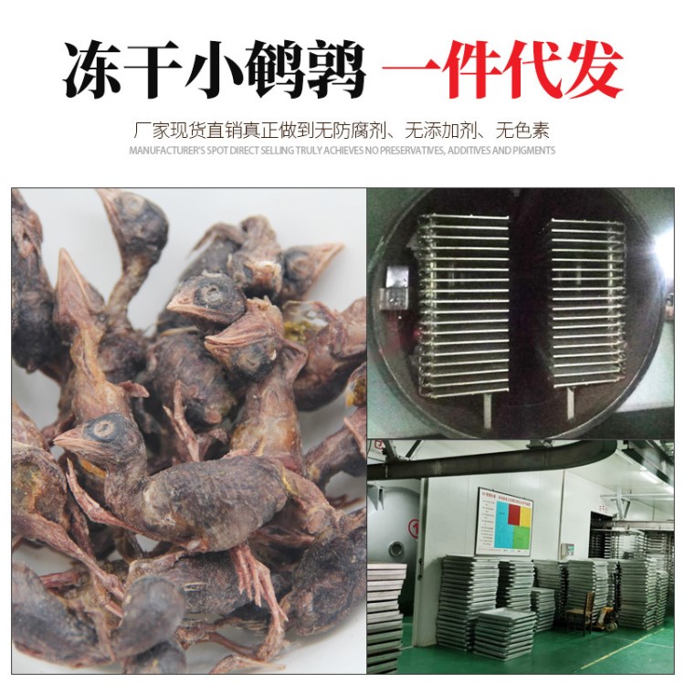 寵物凍干鵪鶉350只左右-寵物生骨肉狗貓零食500克一斤OEM代工批發(fā)