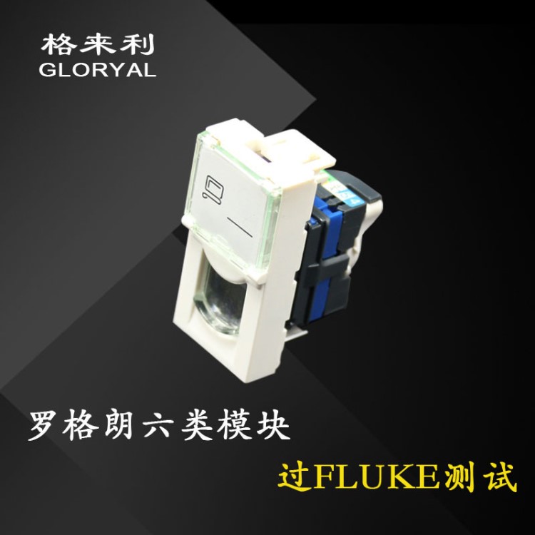 羅格朗款模塊180度LEGRAND款免打旋卡式Cat.6模塊 面板式網(wǎng)絡模塊