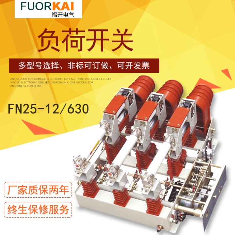 FZN25-12RD/200-31.5 10KV戶內真空高壓負荷開關FN25電動廠家直銷