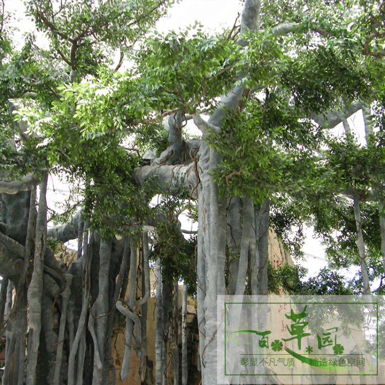 廠家直銷仿真榕樹葉過膠手感園林景觀假樹枝塑料花室外抗曬防老化
