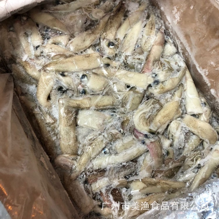 冷凍加州魷魚 小魷魚 筆管魚 籽烏 40%含籽 10kg/件