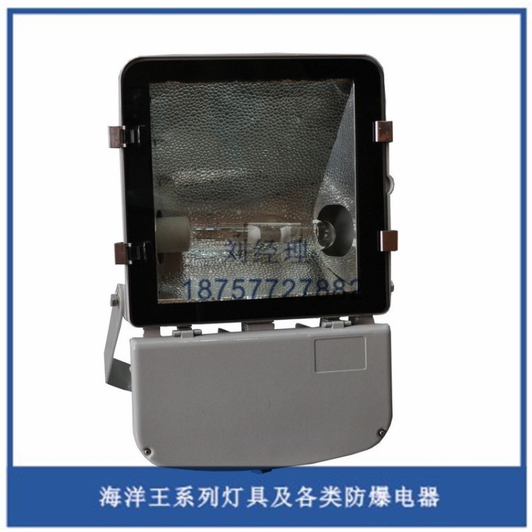 高配海洋NFC9140-J400W節(jié)能型廣場(chǎng)燈 高爾夫球場(chǎng)燈 廣場(chǎng)打光燈