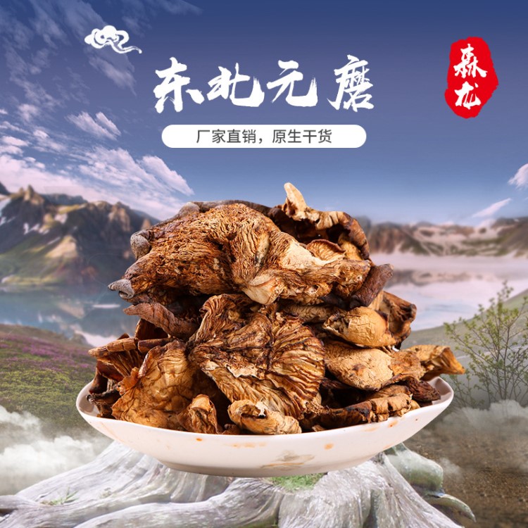 森龍東北山貨元蘑菇散裝250g食用菌干貨廠家批發(fā)元磨風(fēng)干活動(dòng)走量