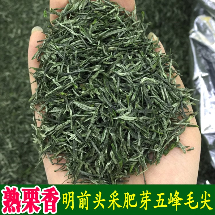 早春头采嫩芽 熟栗香 五峰毛尖 2019年新茶 明前一级 绿茶