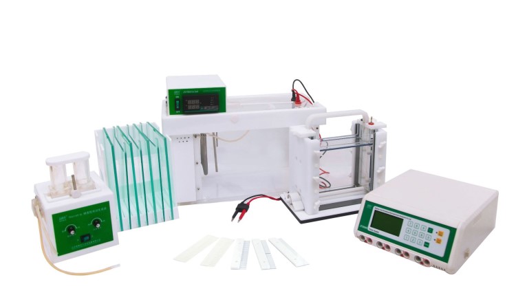 變性梯度凝膠電泳系統(tǒng)