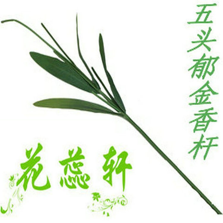 水晶花絲網(wǎng)花材料批發(fā)仿真五頭郁金香花桿83cm帶細(xì)泡沫葉廠家直銷