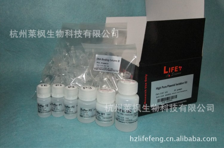 116 101 質粒DNA小量提取試劑盒 High Pure Plasmid kit