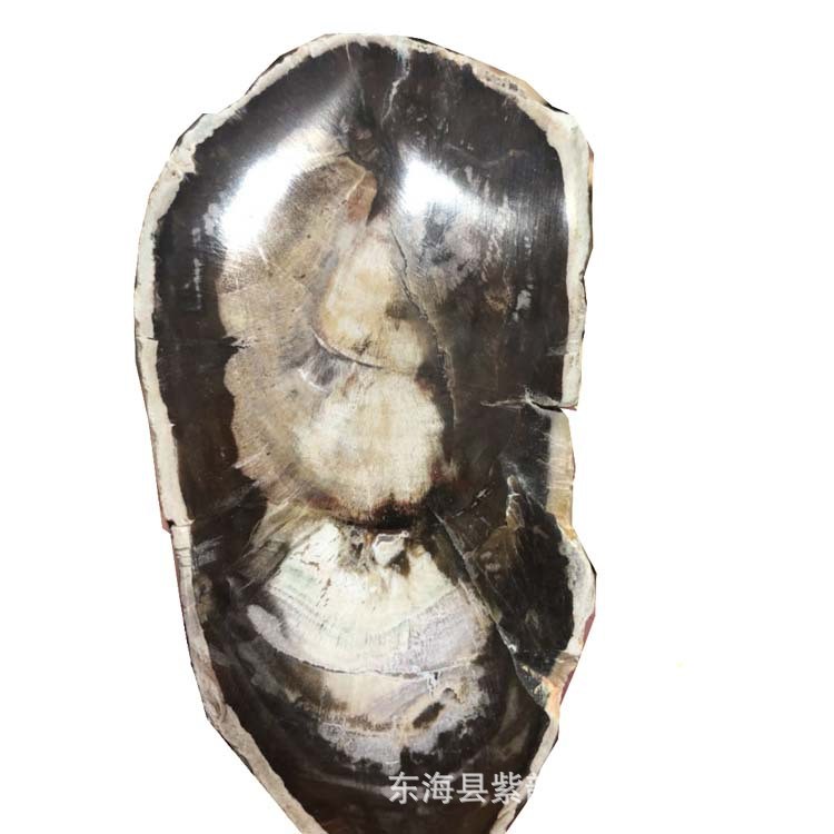 天然木化石原石 片狀樹玉化  個性茶托 裝飾 擺件 廠家直銷
