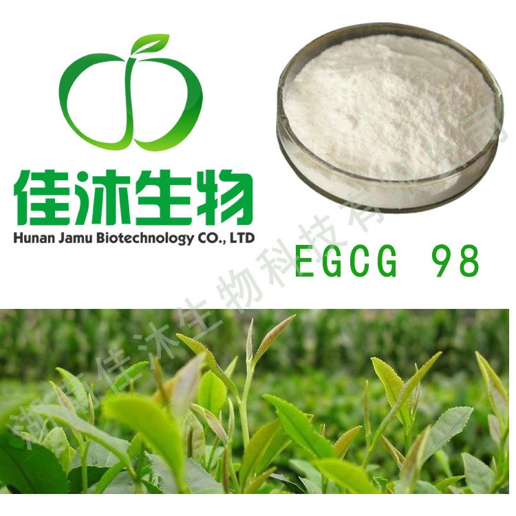 廠家【SC證】兒茶素 兒茶素98% EGCG95% 綠茶提取物 茶多酚