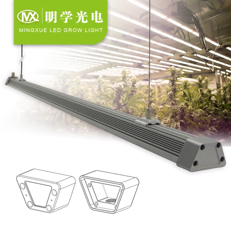 批發LED植物生長燈 IP65防水 LED線型燈 溫室大棚種植育苗光合作