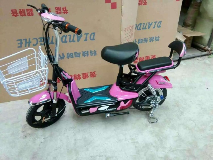 白銀廠家直銷雙人學(xué)生車電動(dòng)自行車腳踏車電瓶車 一件也發(fā)貨