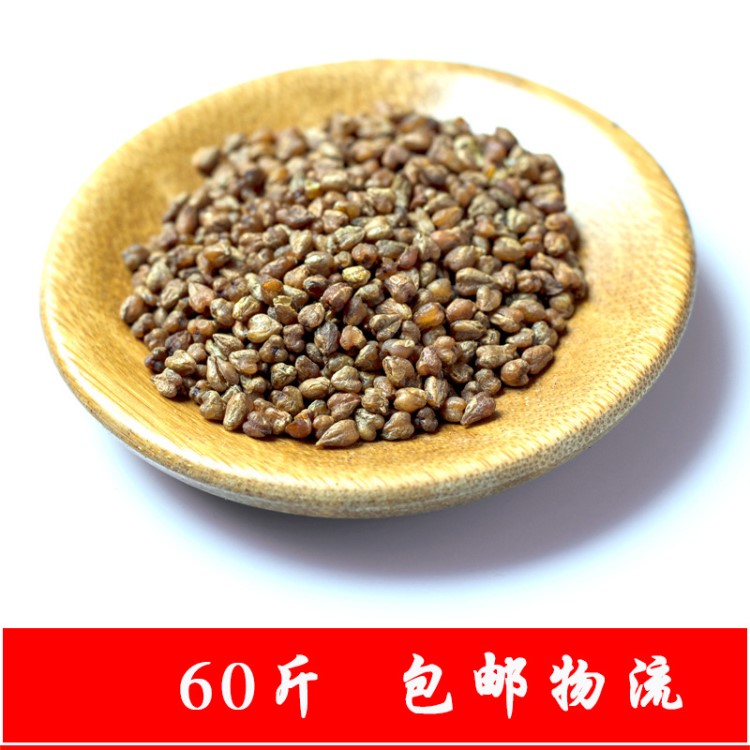 2019新茶西昌苦蕎茶散裝黑苦蕎胚芽廠家批發(fā)一件代發(fā)蕎麥茶500g