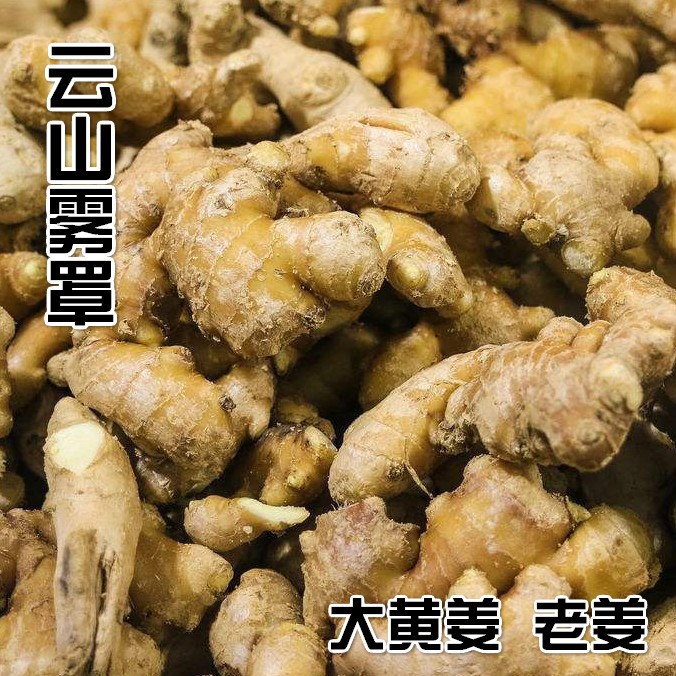 產(chǎn)地直銷山東姜母新鮮生姜1斤杭州農(nóng)家小黃姜老姜土姜包郵