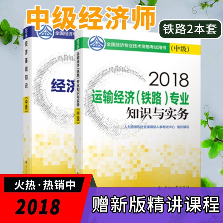 现货2018年中级经济师考试教材 运输经济铁路知识与实务 经济