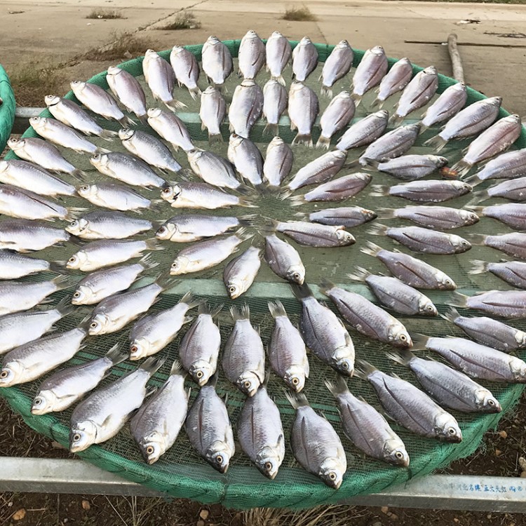 洞庭湖淡水魚 風(fēng)干魚干貨破肚鯽魚糍粑魚魚干5斤起批包郵廠家直銷