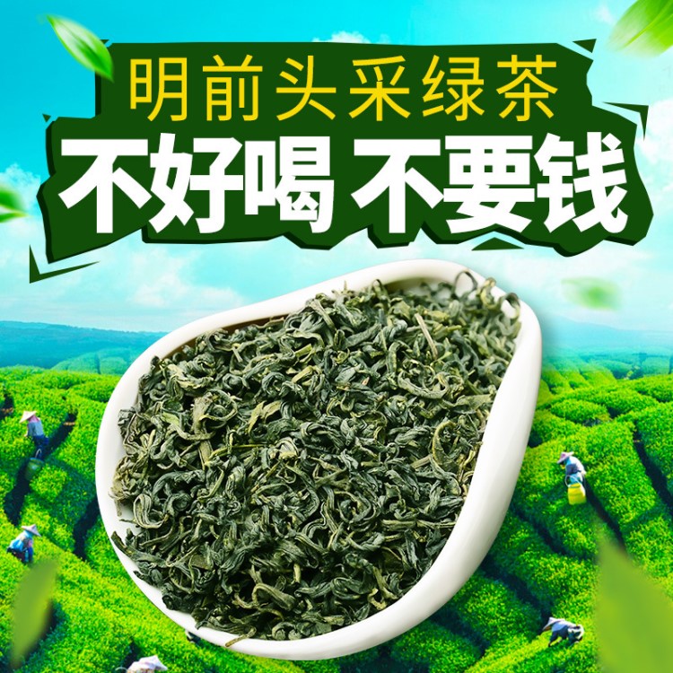 嶗山綠茶2019新茶特級散裝茶葉毛尖山東高山日照袋裝濃香型500g