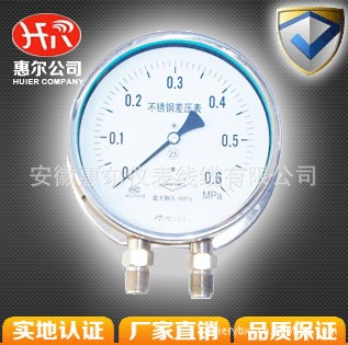 工業用儀器儀表YTF隔膜壓力表YPF150B不銹鋼惠爾儀表