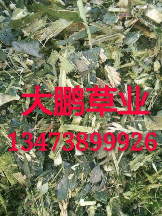 廠家直銷 微貯飼料 秸稈青儲(chǔ) 青儲(chǔ)草塊 青儲(chǔ)飼料全株青儲(chǔ)干玉米秸