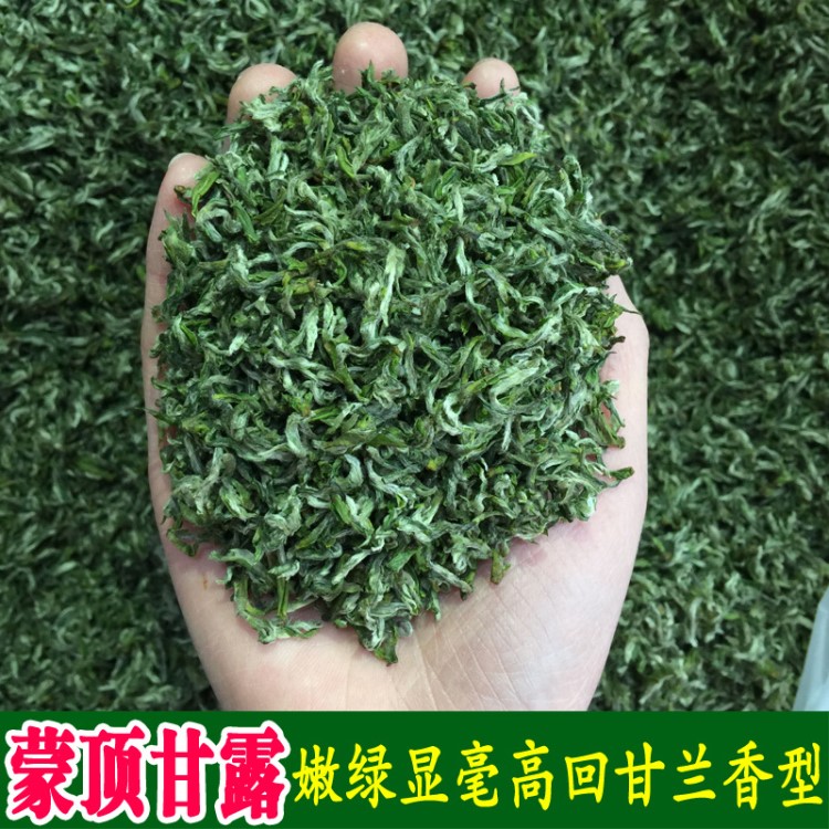 艾達福 蒙頂甘露 2019年新茶葉 早春頭采 綠茶批發(fā) 四川高山嫩芽