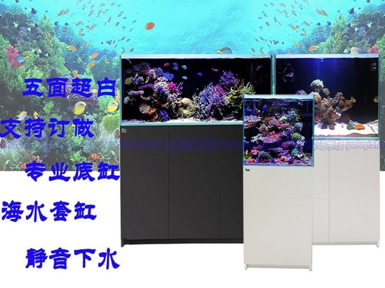 水族箱海水魚缸珊瑚金晶超白玻璃屏風(fēng)底柜客廳紅海定做實木