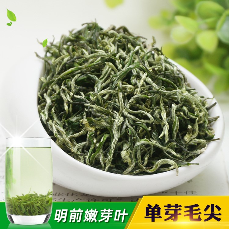 2019年新茶 單芽毛尖 明前頭春 形似湘西黃金茶 毛峰茶葉廠家批發(fā)