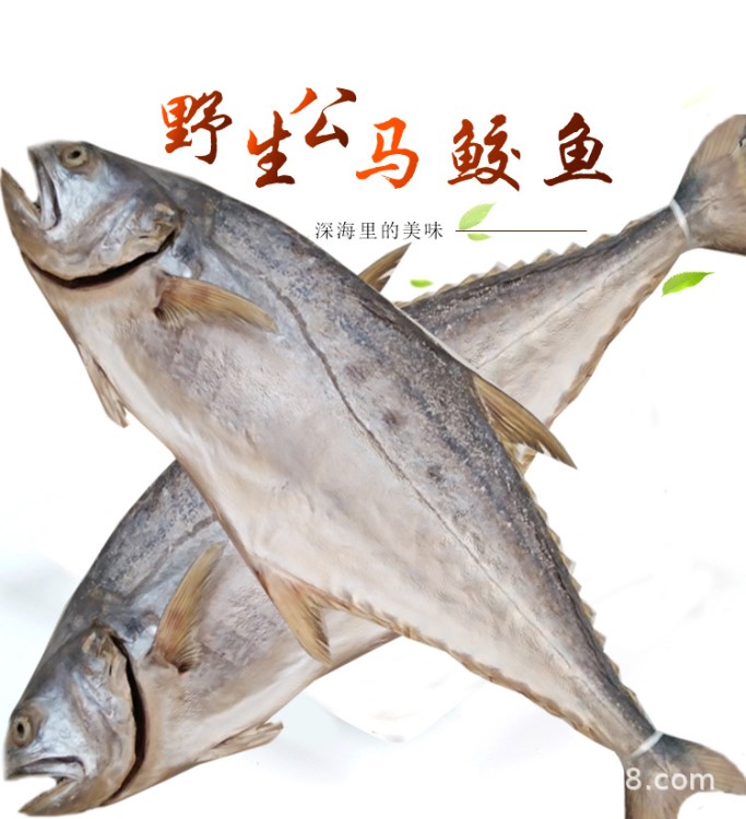 海特產(chǎn)梅香咸魚鲅魚干馬鮫魚干霉香馬友魚臭魚海鮮干貨定價1斤