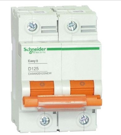 schneider 施耐德小型斷路器 新型EA9AH 2P D100A；EA9AH2D100NEW