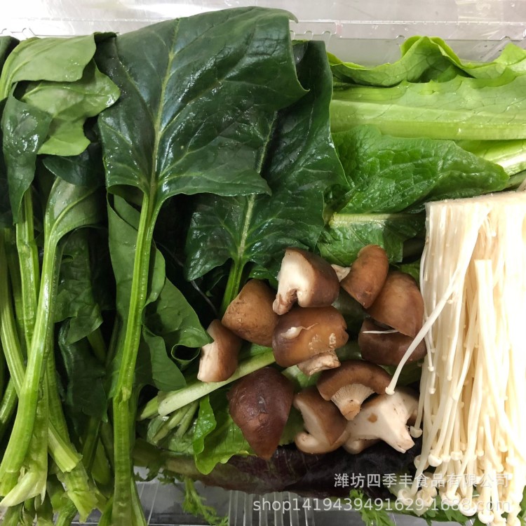 新鮮蔬菜火鍋套菜 蔬菜生菜火鍋店 餐廳廠家直銷量大價優(yōu)