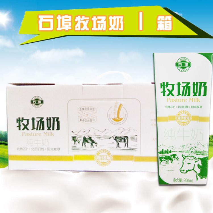 石埠 牧場(chǎng)牛奶飲品200mlX15盒單箱 學(xué)生營(yíng)養(yǎng)牛奶成人早餐牛奶