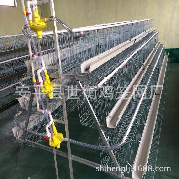 蛋雞籠 雞籠 雞籠子 養(yǎng)雞籠 河北雞籠 便宜雞籠