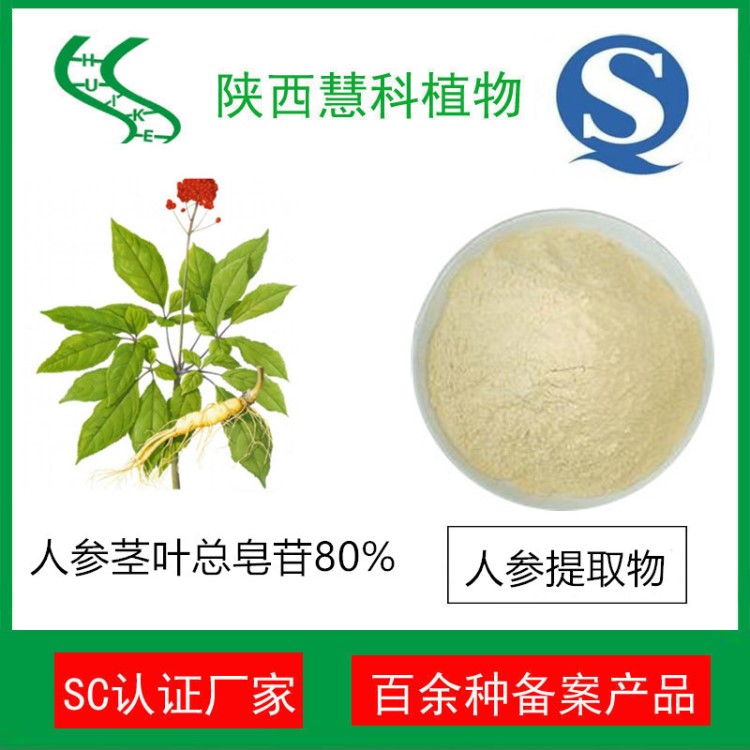 人參莖葉總皂甙80% 慧科廠家直銷  現貨直銷 包郵 人參提取物