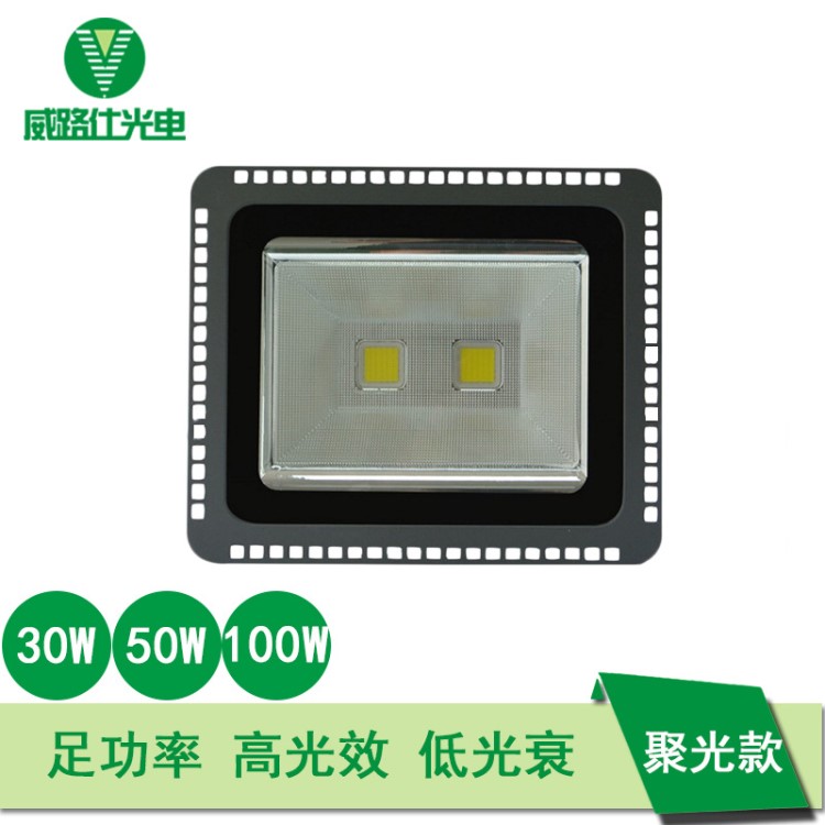 廠家戶外防水LED30W-100W集成泛光燈 LED聚光投光燈背包款 高桿燈