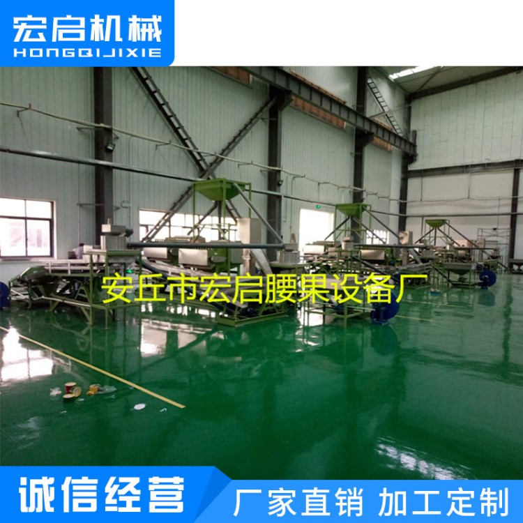 批發直供剝殼去皮生產線腰果脫皮機脫殼機器 可來電定制