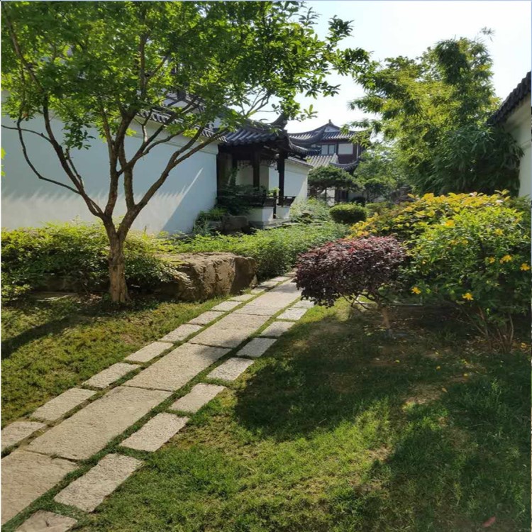 公司承接戶外綠化制作私人住宅別墅庭院墻外綠帶工程園林植物綠化