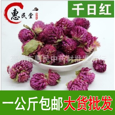 千日紅 千日紫 色優(yōu)貨干提供包郵 食用農(nóng)產(chǎn)品初加工