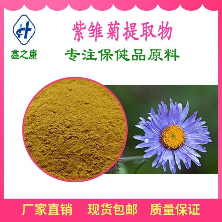 紫雛菊提取物 10：1  天然紫雛菊多酚 廠家現貨 保健食品原料