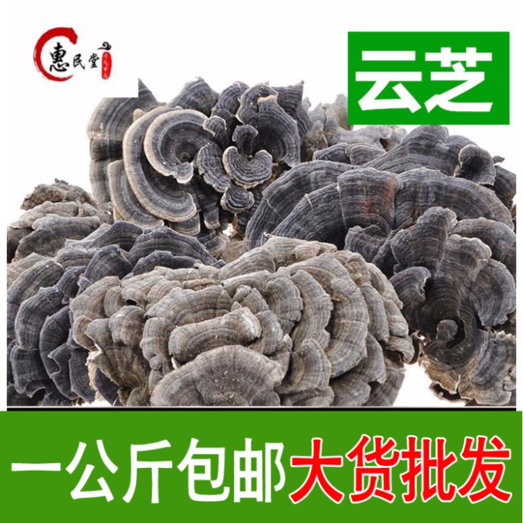 云芝 雜色云芝 黃云芝 灰芝 千層蘑 一公斤包郵 食用農(nóng)產(chǎn)品初加工