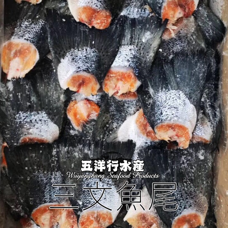 三文魚尾 三文魚邊角料 燒烤海鮮 冷凍三文魚 智利