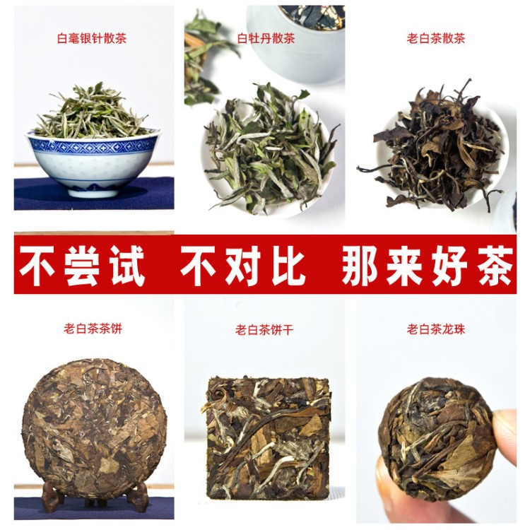 福鼎白茶白牡丹散裝白毫銀針樣品壽眉干茶貢眉拿樣老白茶餅茶樣