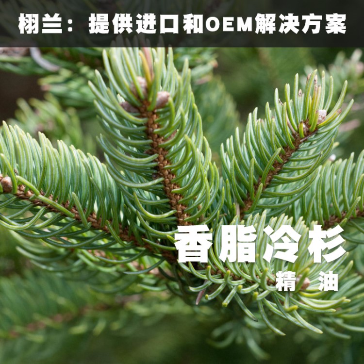 新到货 栩兰 香脂冷杉/胶冷杉精油 Abies Balsamea 单方 加拿大