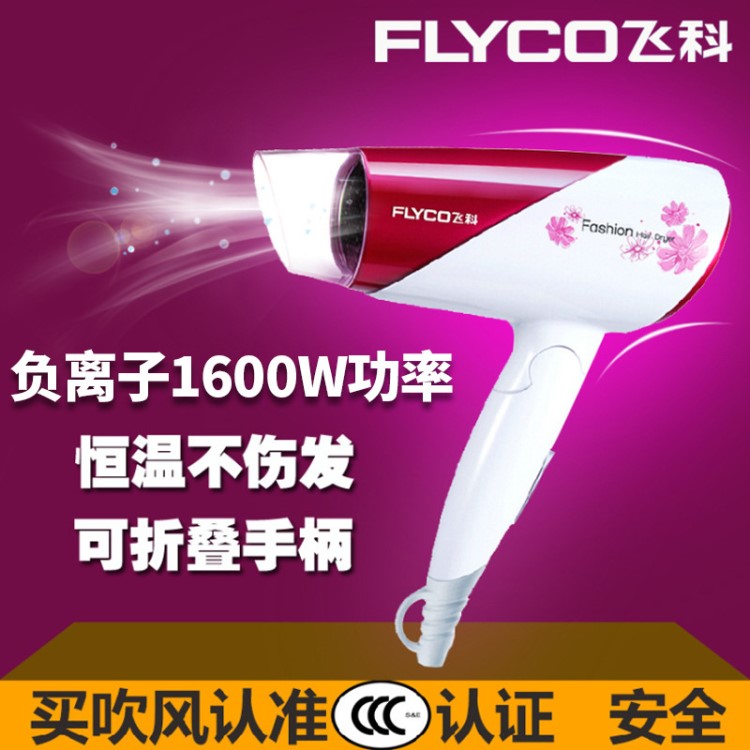 飛科（FLYCO）電吹風(fēng)機(jī)家用FH6651吹風(fēng)筒負(fù)離子可折疊 1600W