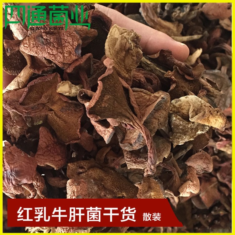 云南高原特產(chǎn)散裝紅乳牛肝菌 干貨四通菌業(yè)干貨野生牛肝菌