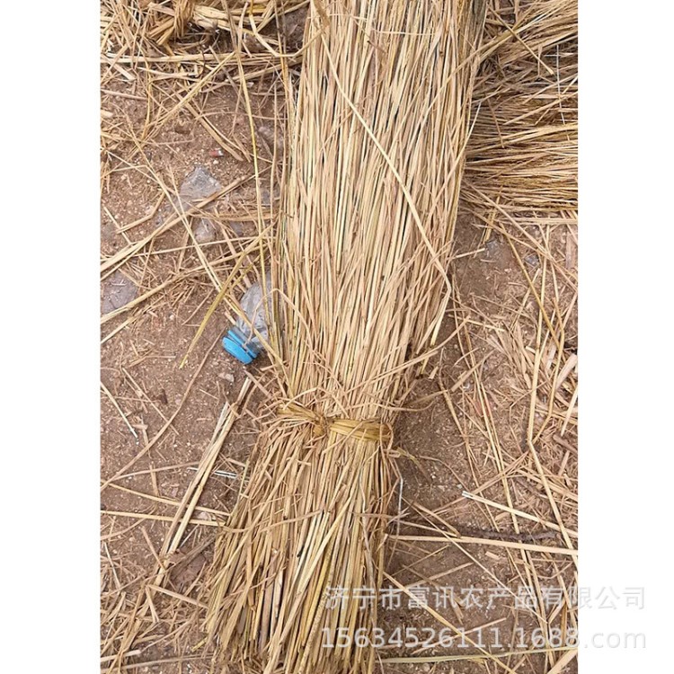現(xiàn)貨批發(fā)干稻草打捆干稻草切斷可作動物飼料編織草簾養(yǎng)殖蘑菇