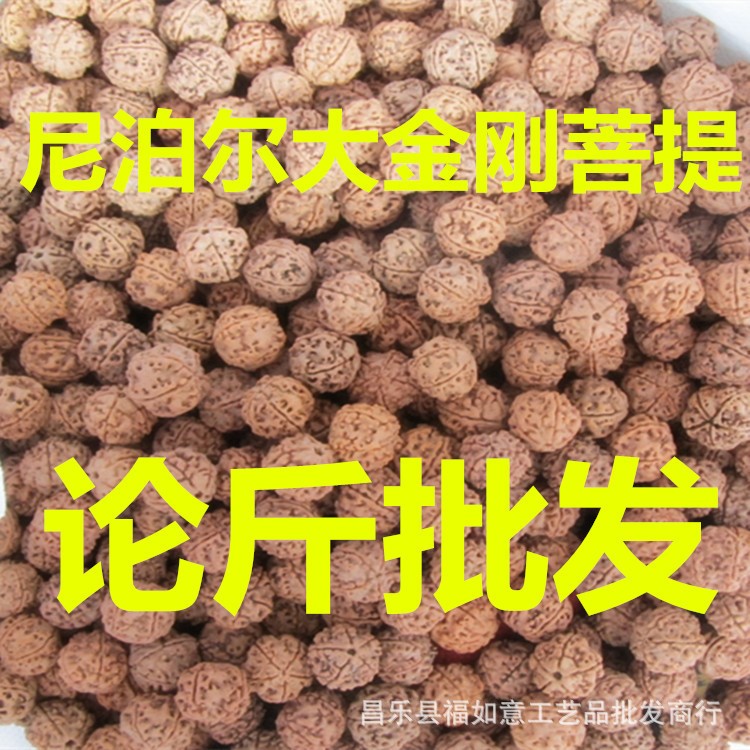 尼泊爾金剛菩提大金剛菩提子通貨爆肉紅皮一手貨源批發(fā)一斤