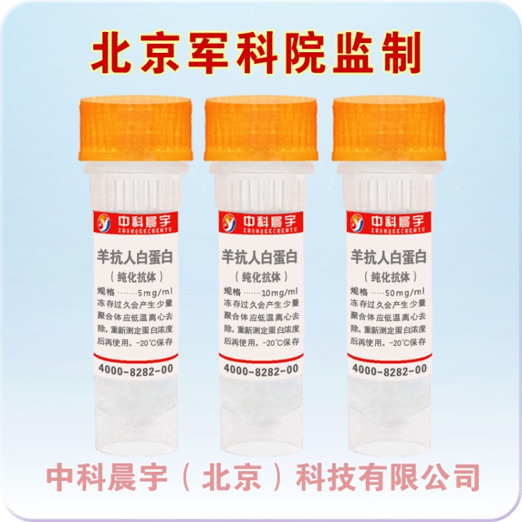 羊抗人白蛋白（化抗體），167024-10mg/ml