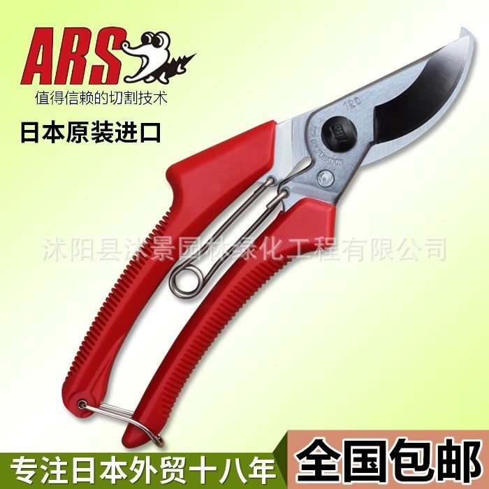 日本ARS愛麗斯修枝剪愛麗絲120DX剪刀整枝剪果樹剪刀花藝剪子