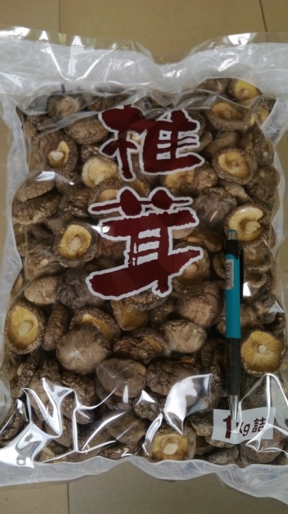 干香菇整菇 /Dried shiitake mushroom/乾燥椎茸ホール