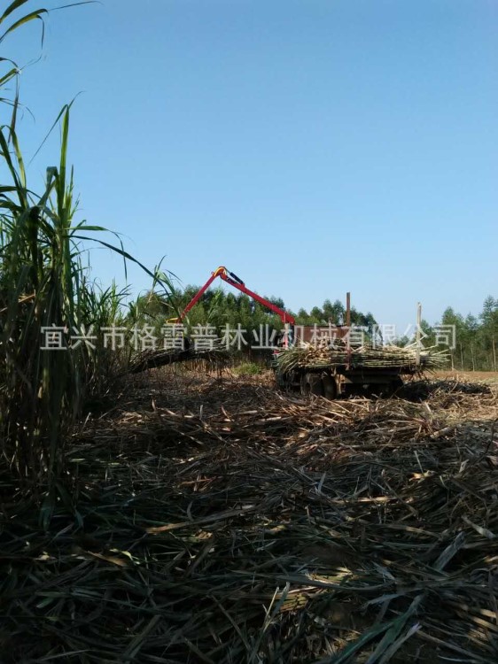 廠家直銷格雷普抓甘蔗機(jī) 農(nóng)業(yè)林業(yè)稻類收獲抓料機(jī)機(jī)械設(shè)備